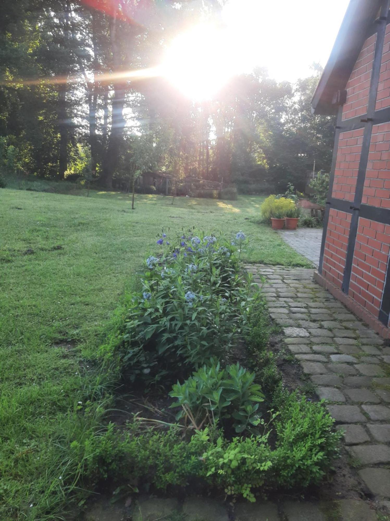 Ferienwohnung Auf Dem Land Ladbergen Bagian luar foto