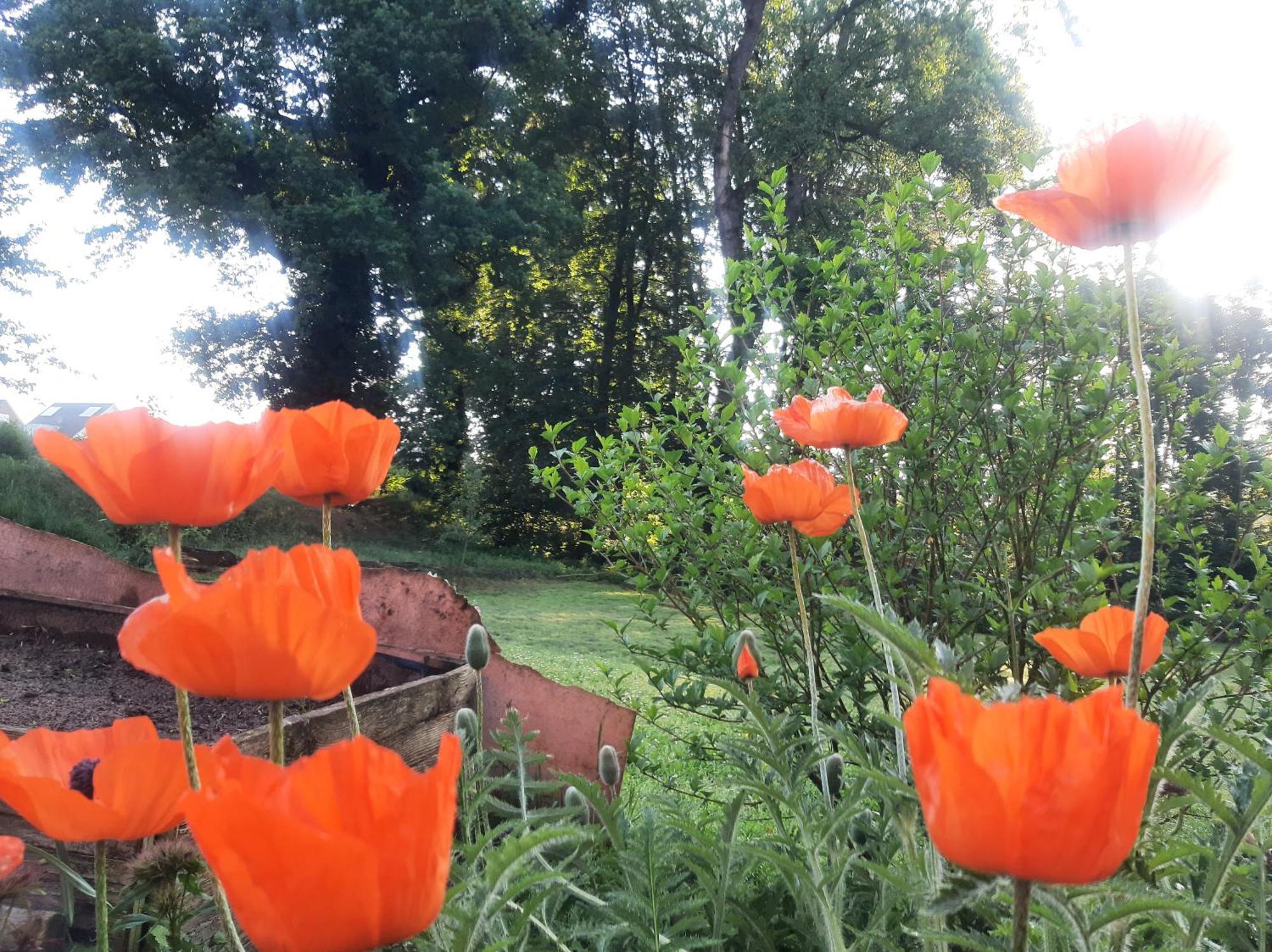 Ferienwohnung Auf Dem Land Ladbergen Bagian luar foto
